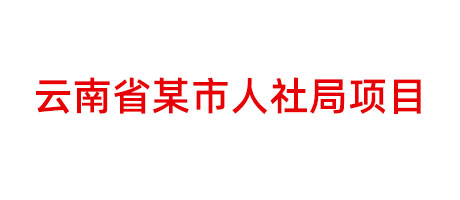 云南省某市人社局项目